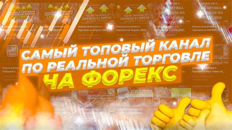 канал 33 форекс